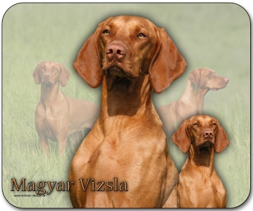 Mousepad Magyar Vizsla (Ungarischer Vorstehhund) #3